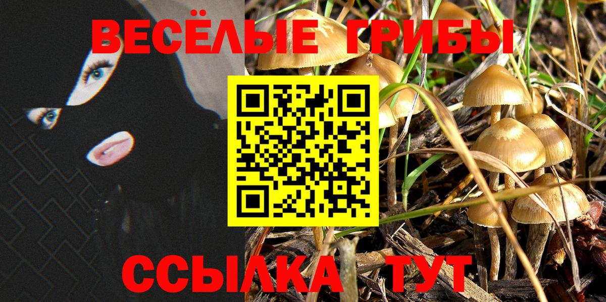Псилоцибиновые грибы GOLDEN TEACHER Якутск