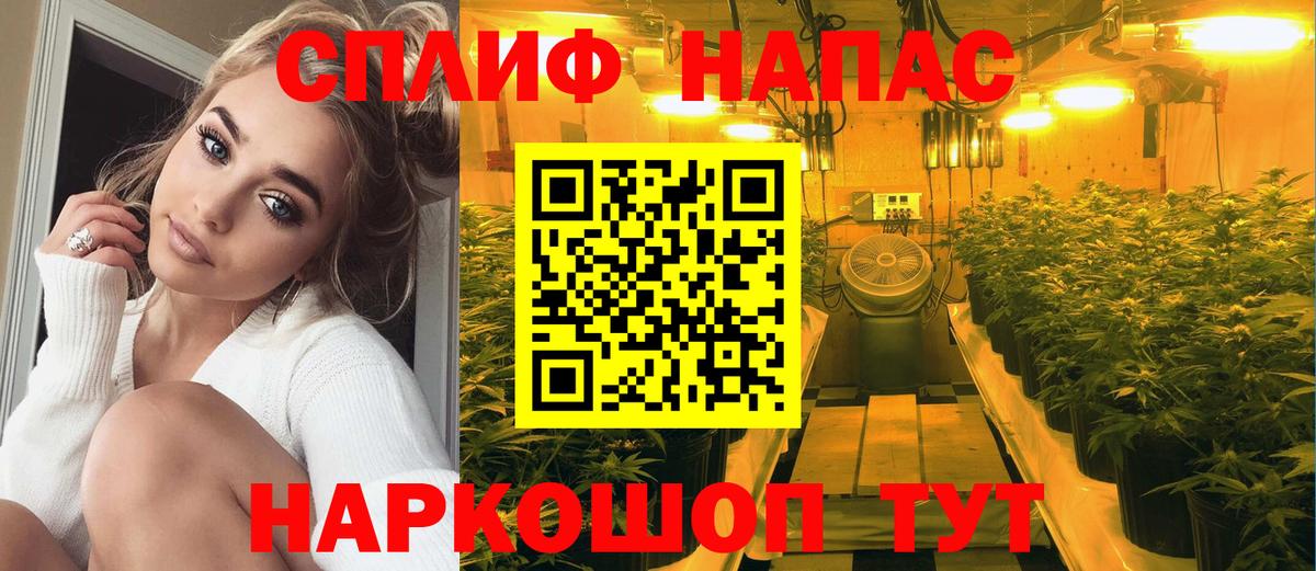 Якутск  Каннабис семена  Канабис ГИДРОПОН  Вход с VPN  Канабис гибрид  Марихуана Amnesia 